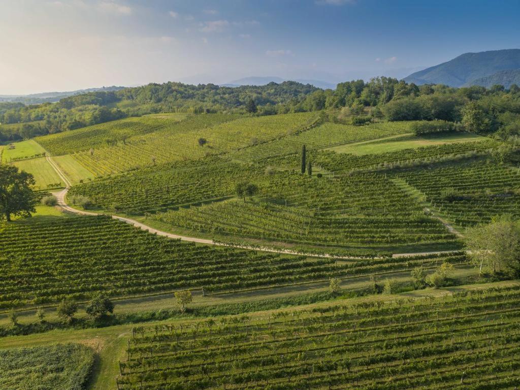 Villa Ronc Dai Luchis Faedis Esterno foto