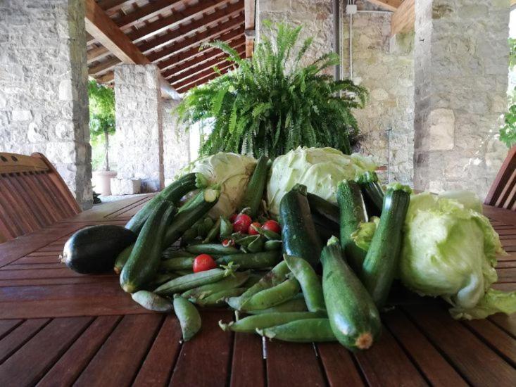 Villa Ronc Dai Luchis Faedis Esterno foto