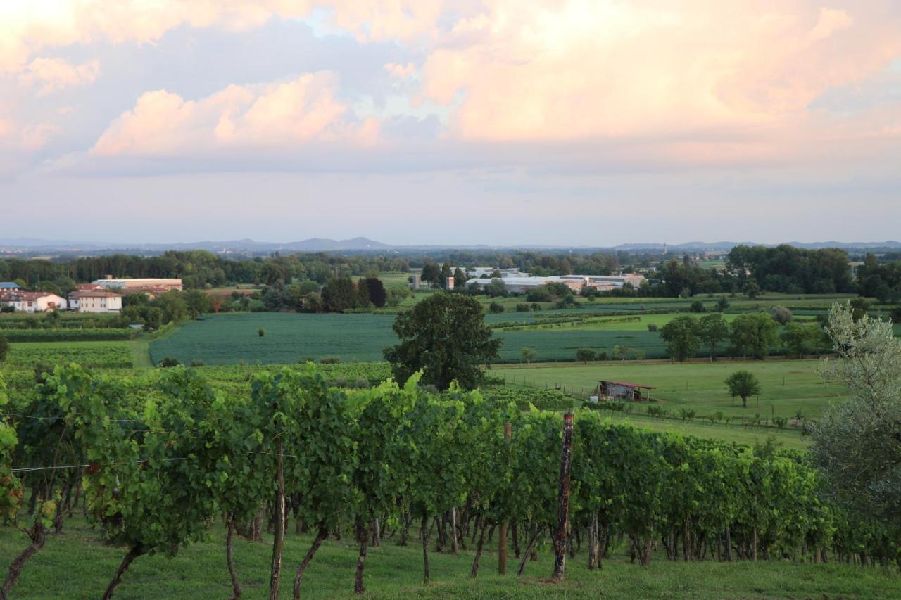 Villa Ronc Dai Luchis Faedis Esterno foto